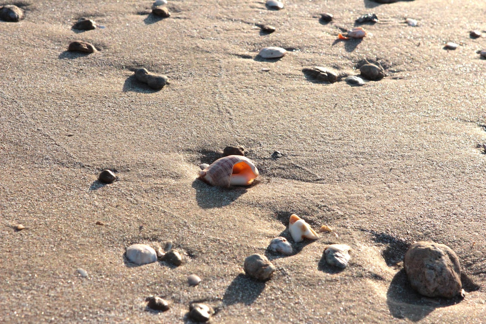 Life and Coconuts Treasure Hunting Discovering the Best Places to Find Sea Glass along the Life and Coconuts Treasure Hunting Discovering the Best Places to Find Sea Glass along the