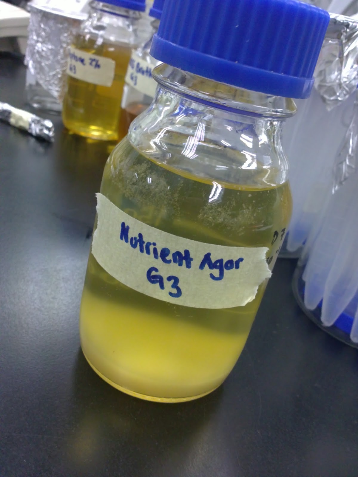 SOLLY BRIDES LAB 3 PREPARATION AND STERILIZATION OF CULTURE MEDIA