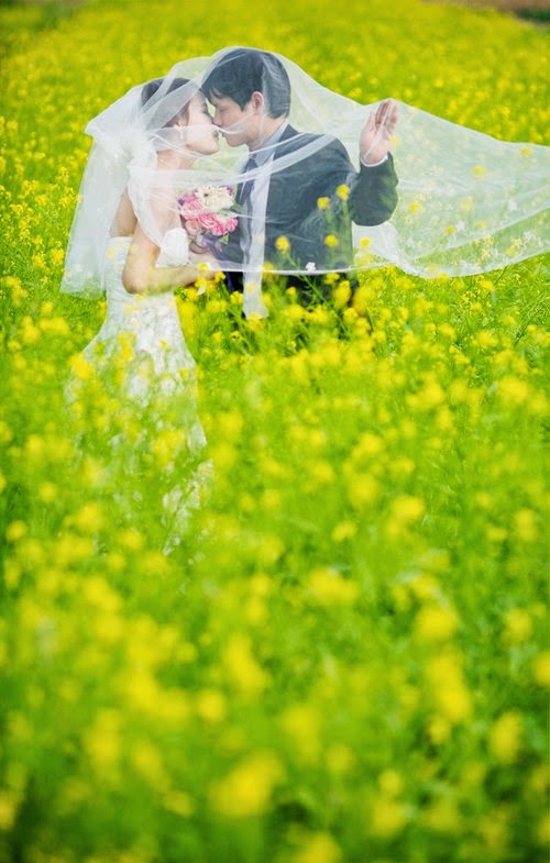 Chụp ảnh cưới ở Cánh Đồng Hoa Cải