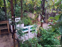 Jardin de l’Aligresse : quand fleurit l’idée de partage - https://echosdu12.blogspot.com/