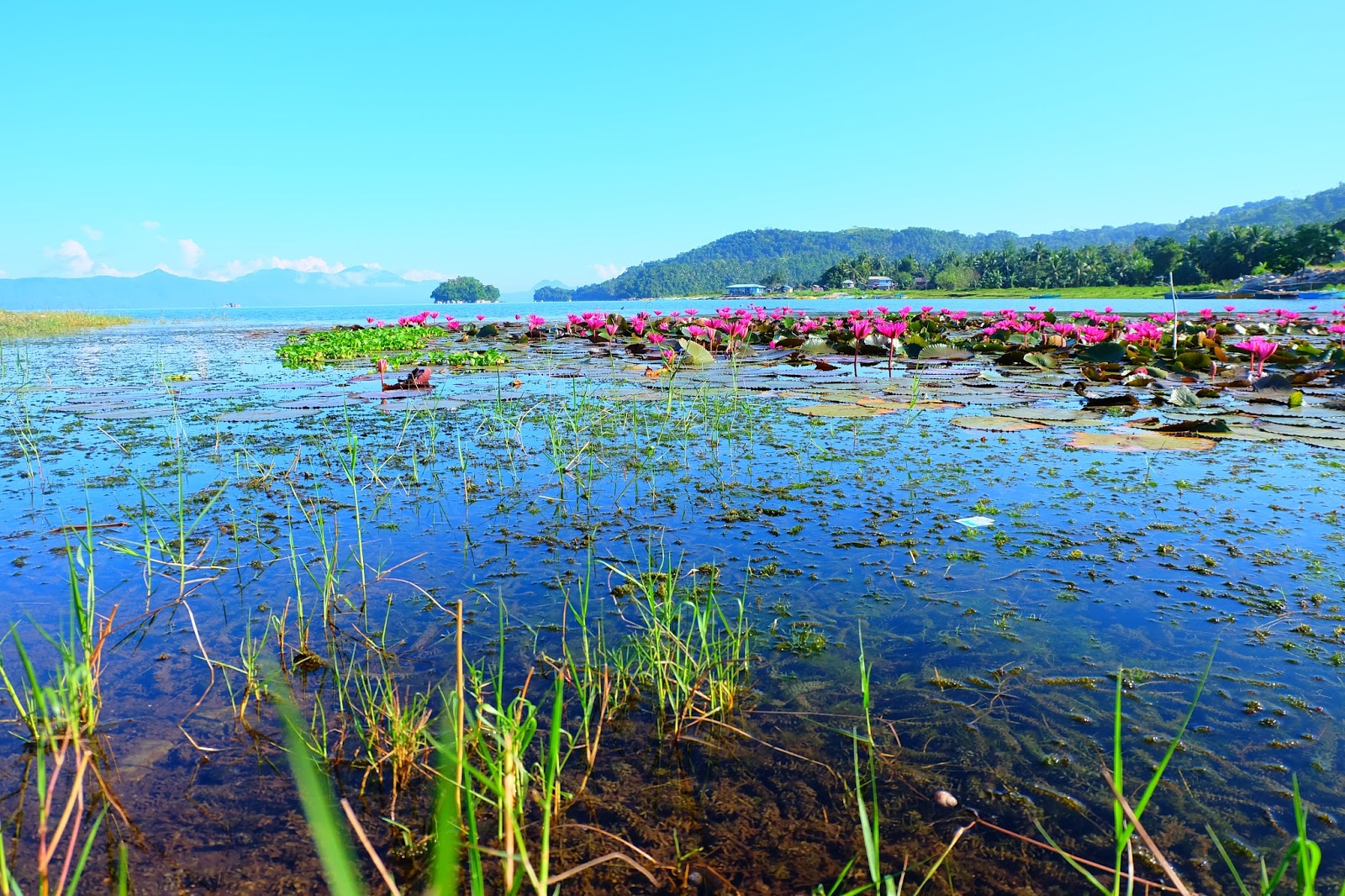 Lake Mainit in Agusan Del Norte - From The Highest Peak to The Deepest Sea