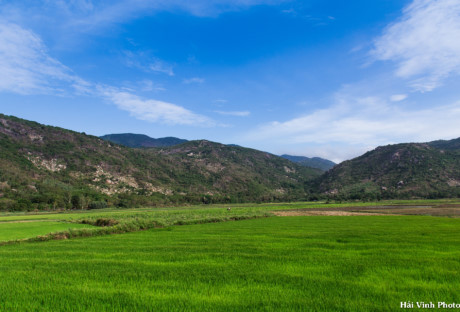 Cung duong ven bien tuyet dep Phu Yen - Sai Gon - Anh 12