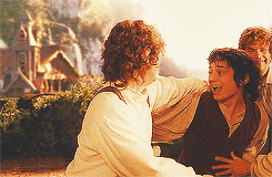 Frodo+Hug.gif