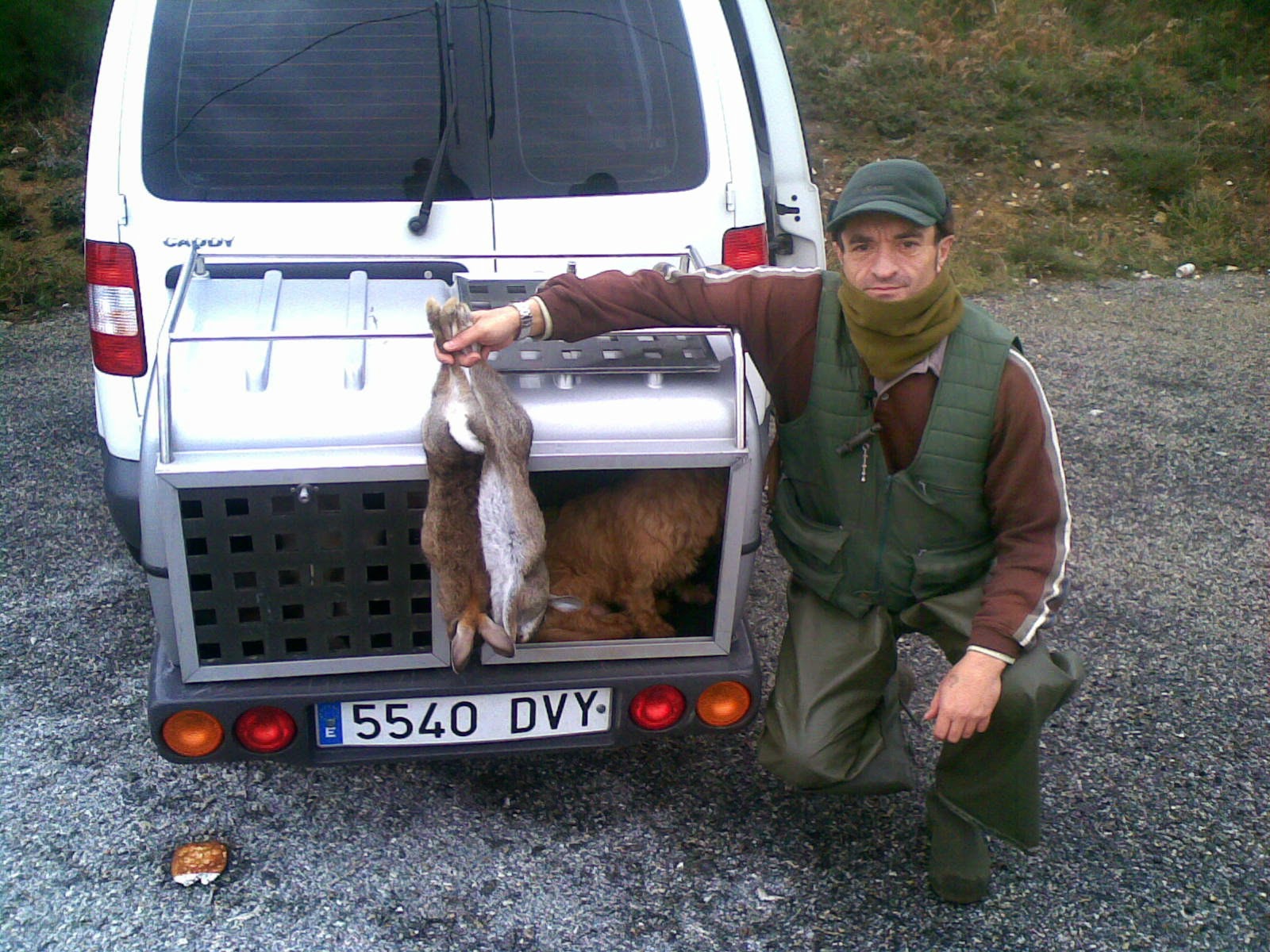 Basset leonado de Bretaña Las Dunas Dias De Caza