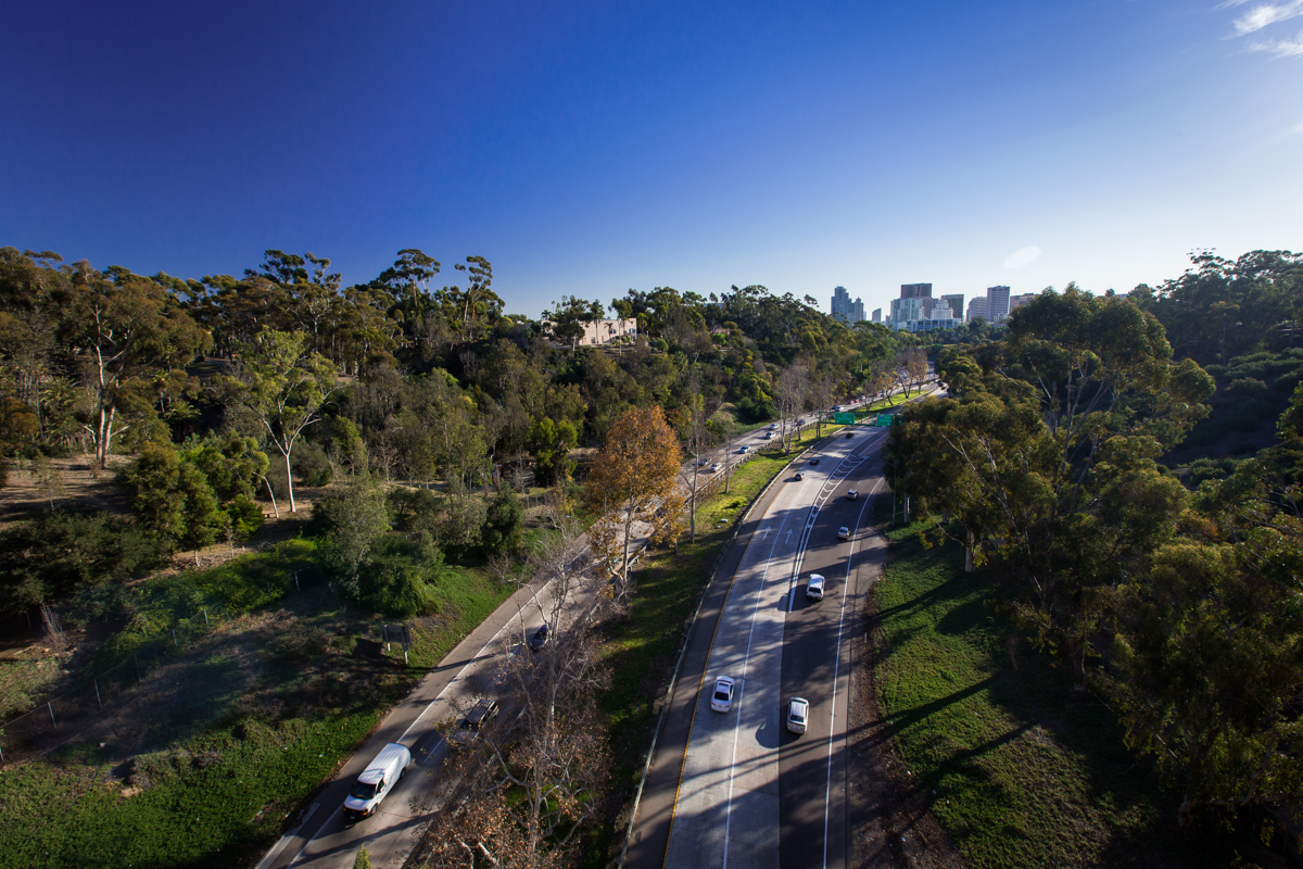 CE SHI PHOTOGRAPHY: Trip CASA DE BALBOA( San Diego)