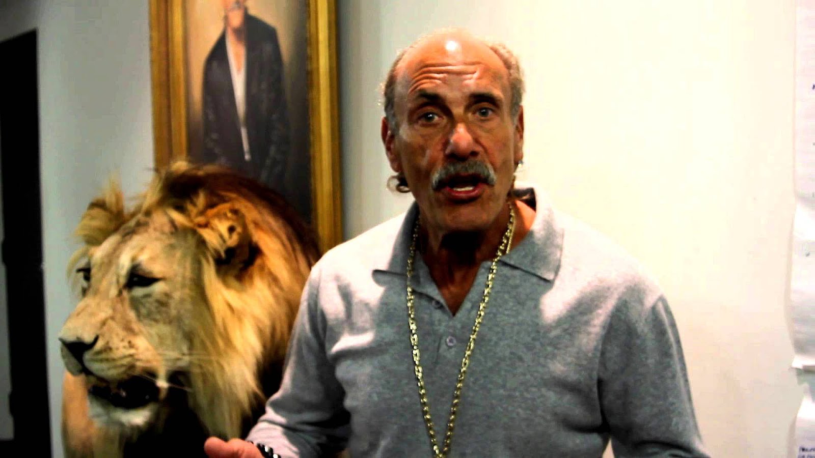 The Les Gold - Gold Choices