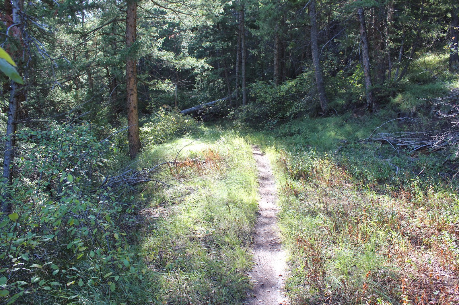 gjhikes.com: Scout Trail