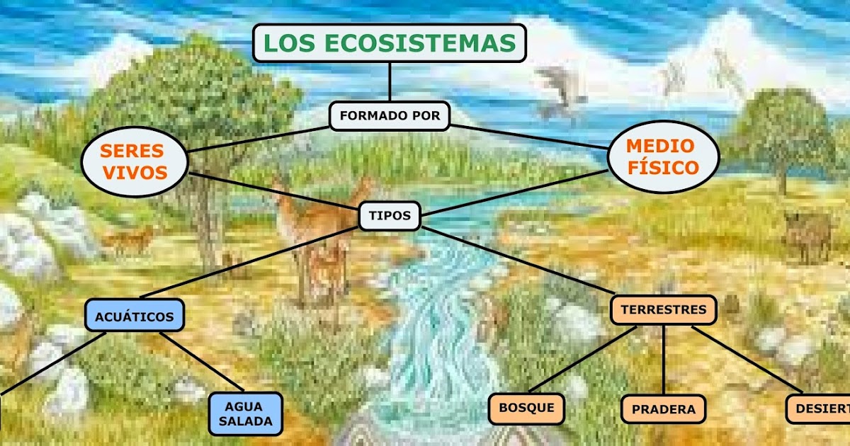 Mapa Conceptual Tema 5 Los Ecosistemas Porn Sex Picture