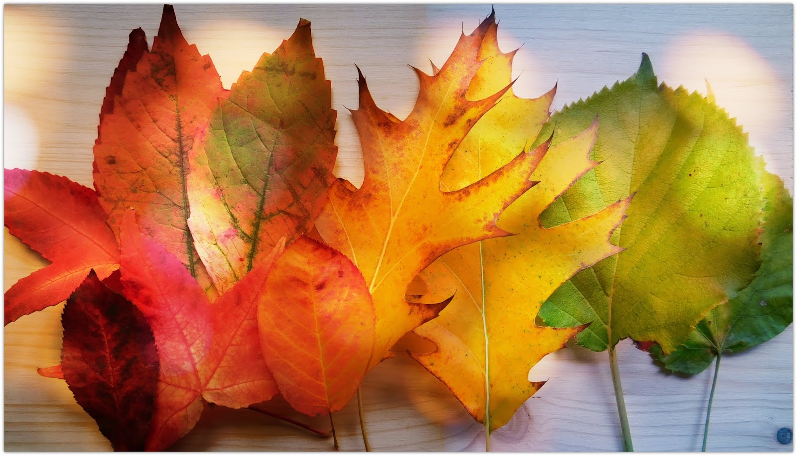 Kartenzauber Und Mehr Septembermorgen Eduard Morike