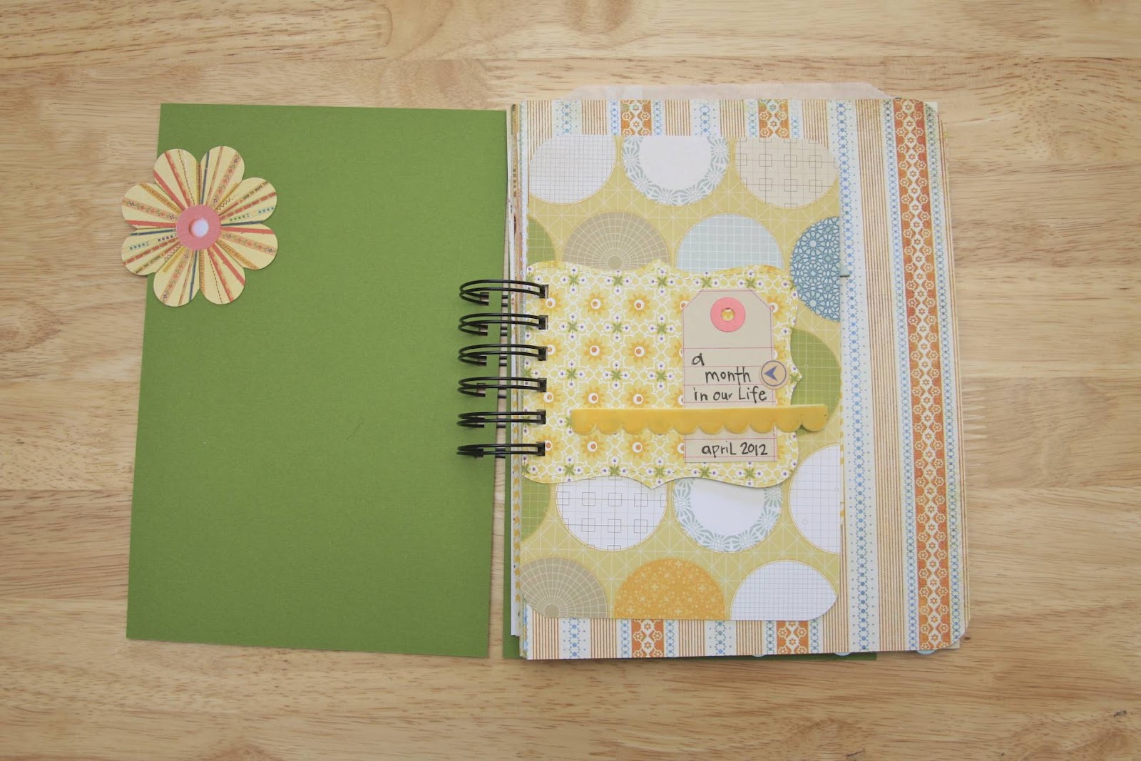 month in the life cocoa daisy