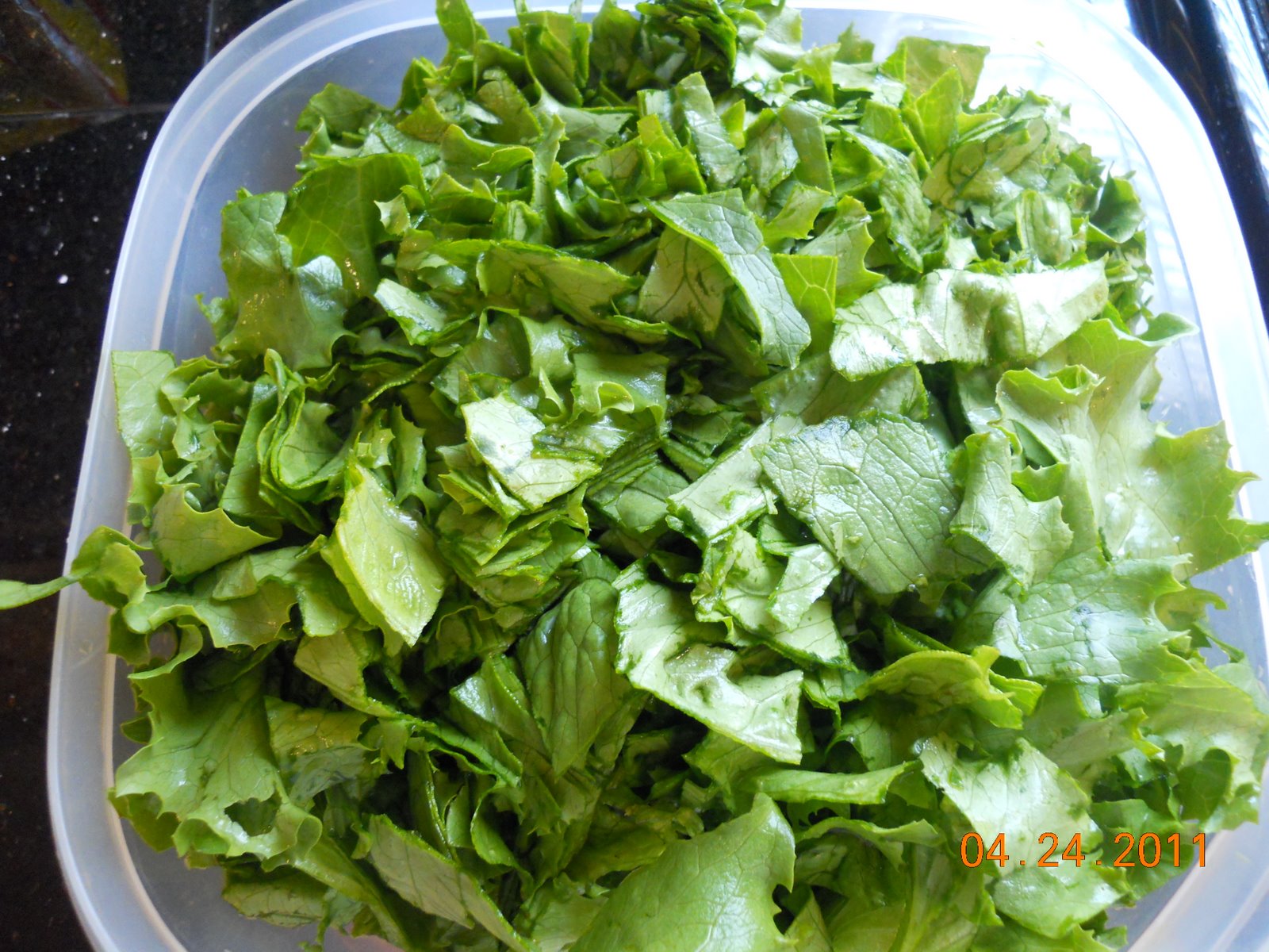 Georgia Home Garden: 2011 Garden - First Lettuce Harvest