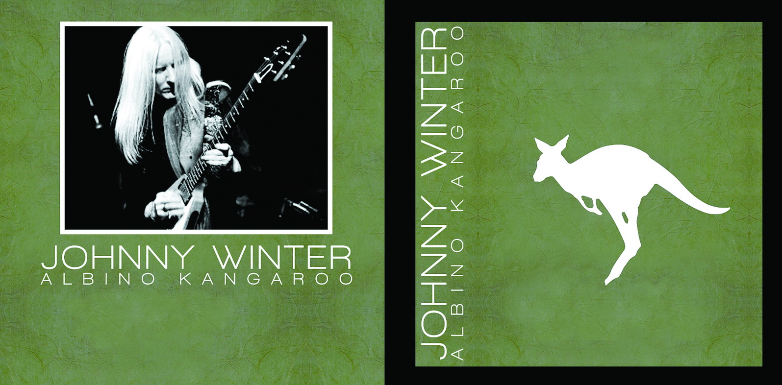 Diferencias entre el selector Class y el selector Id