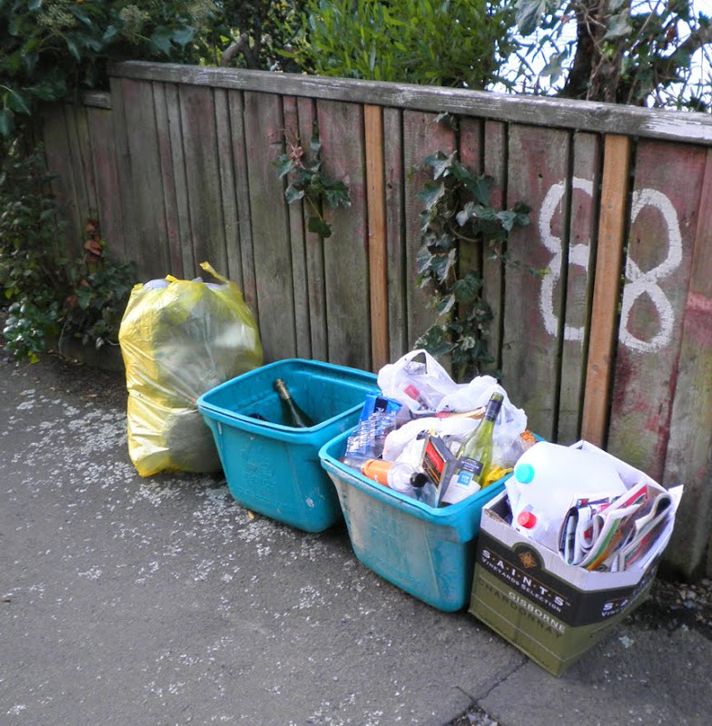Wellington Daily Photo 1426 Rubbish Day