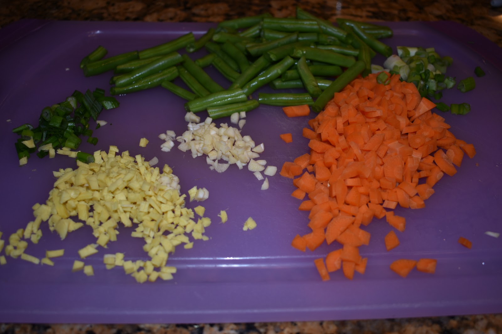 Nick and Alona Kitchen HelloFresh Protein Packed Rice Bowl Disaster