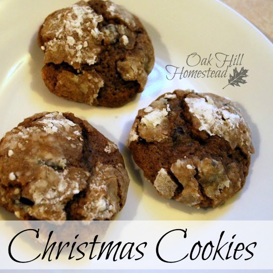 Pecan and cranberry freezer cookies Chocolate Crinkle Cookies and the Christmas Cookie Notebook - Oak Hill