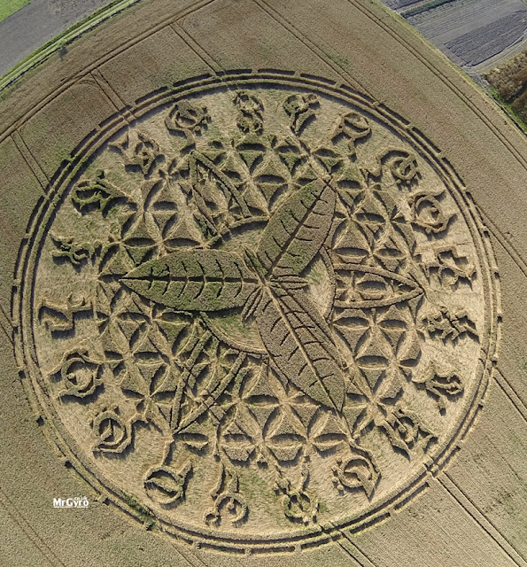 crop circle 2017