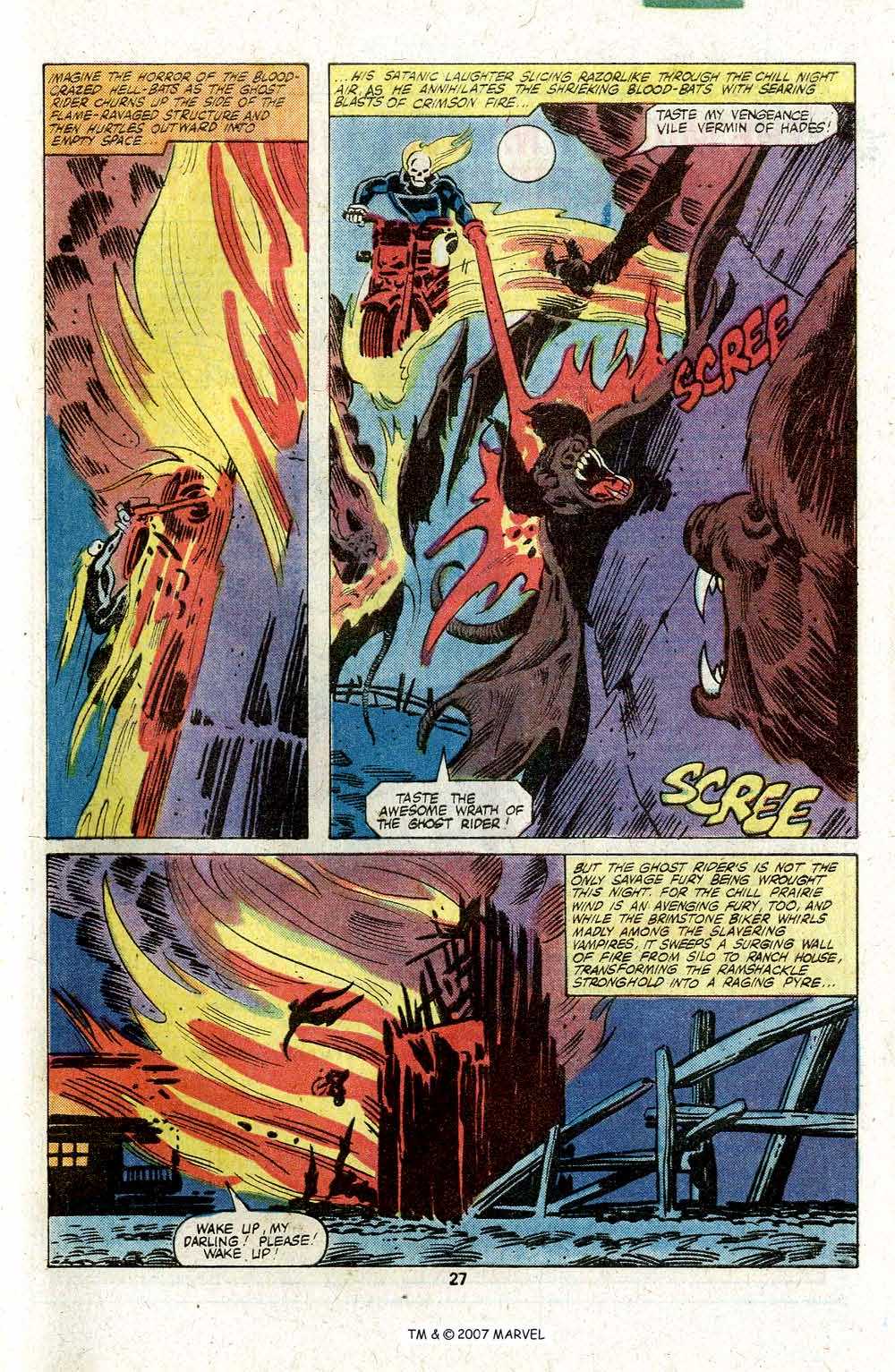 Read online Ghost Rider (1973) comic -  Issue #48 - 29