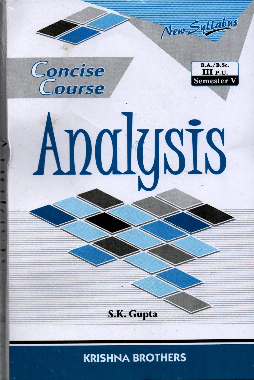 Differential Equations: A Concise Course