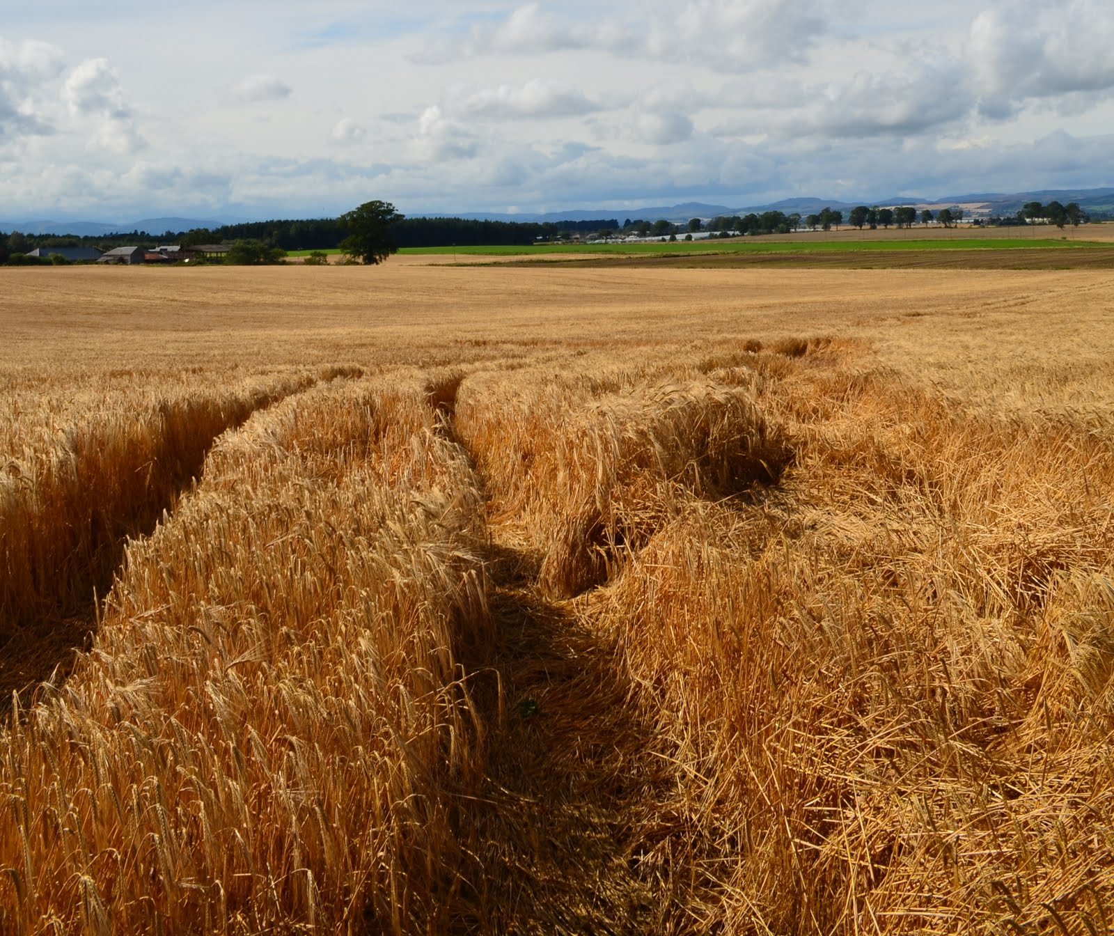 Tour Scotland: Tour Scotland Photographs Rural Perthshire September 5th