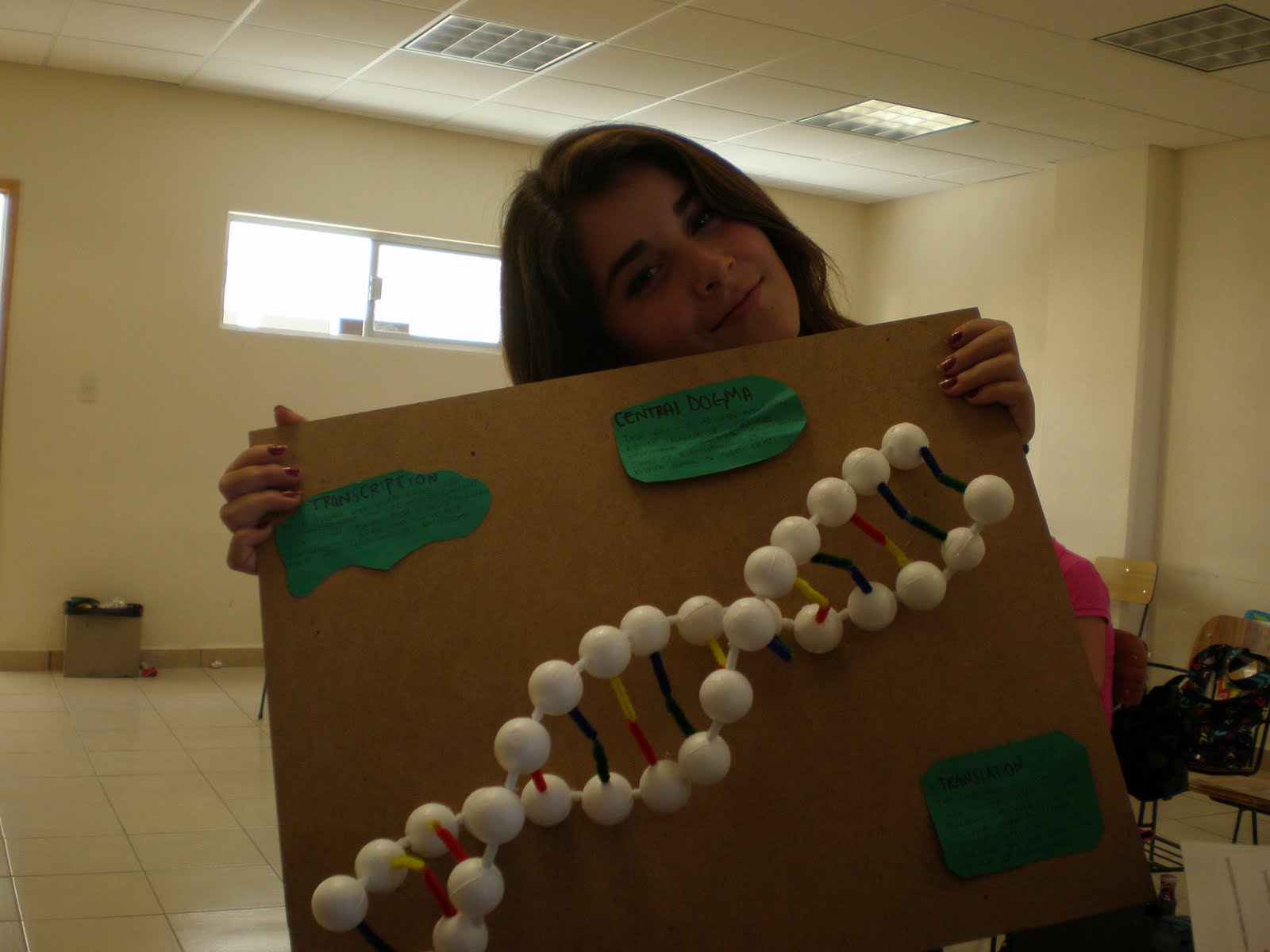 Central Dogma Definition - kobeldesigns