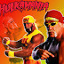 Hulk Hogan 2014 HD Wallpapers