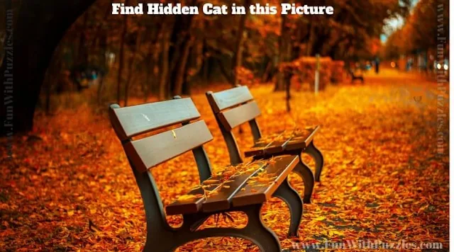 Picture Puzzle to find hidden cat