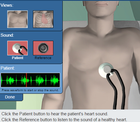 Anatomy and Physiology- It's Going Tibia Okay: Virtual Cardiology Lab