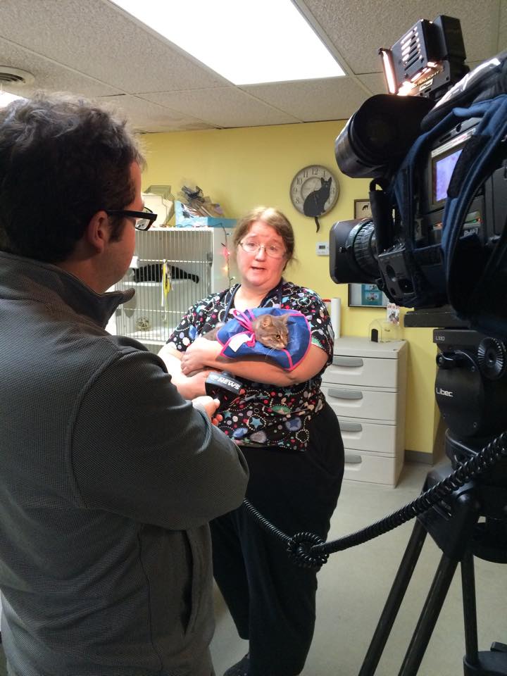 Ten Lives Club Cat Adoption Group ONCE AGAIN TLC STEPS UP TO SAVE CATS IN NEED...