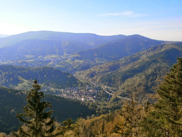 Der Schwarzwald und seine Natur Hohe Schaar ein Felsen und