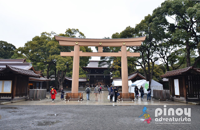 MEIJI shrine in Tokyo Tourist Spots Japan