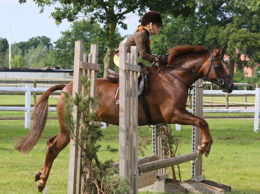 Trailblazers Championships 2015 Trailblazers Working Hunter Report