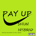 Shun Hybrid - Pay Up