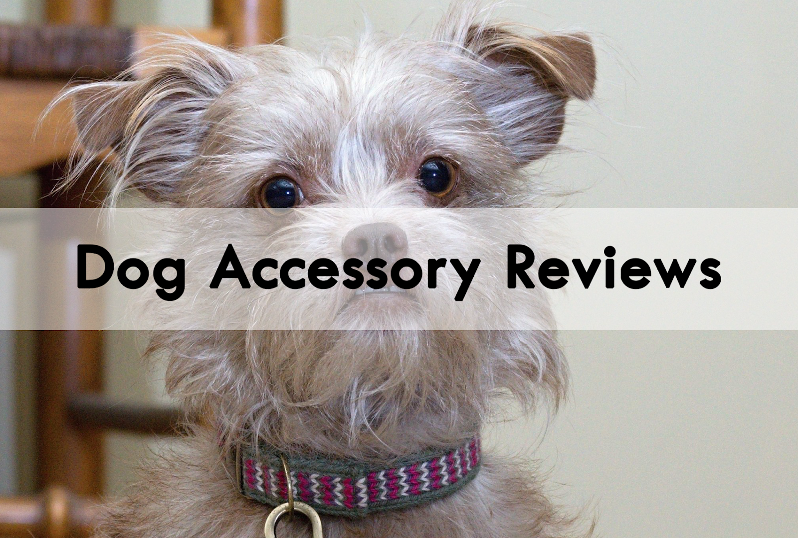The Chesnut Mutts Dog Accessory Reviews