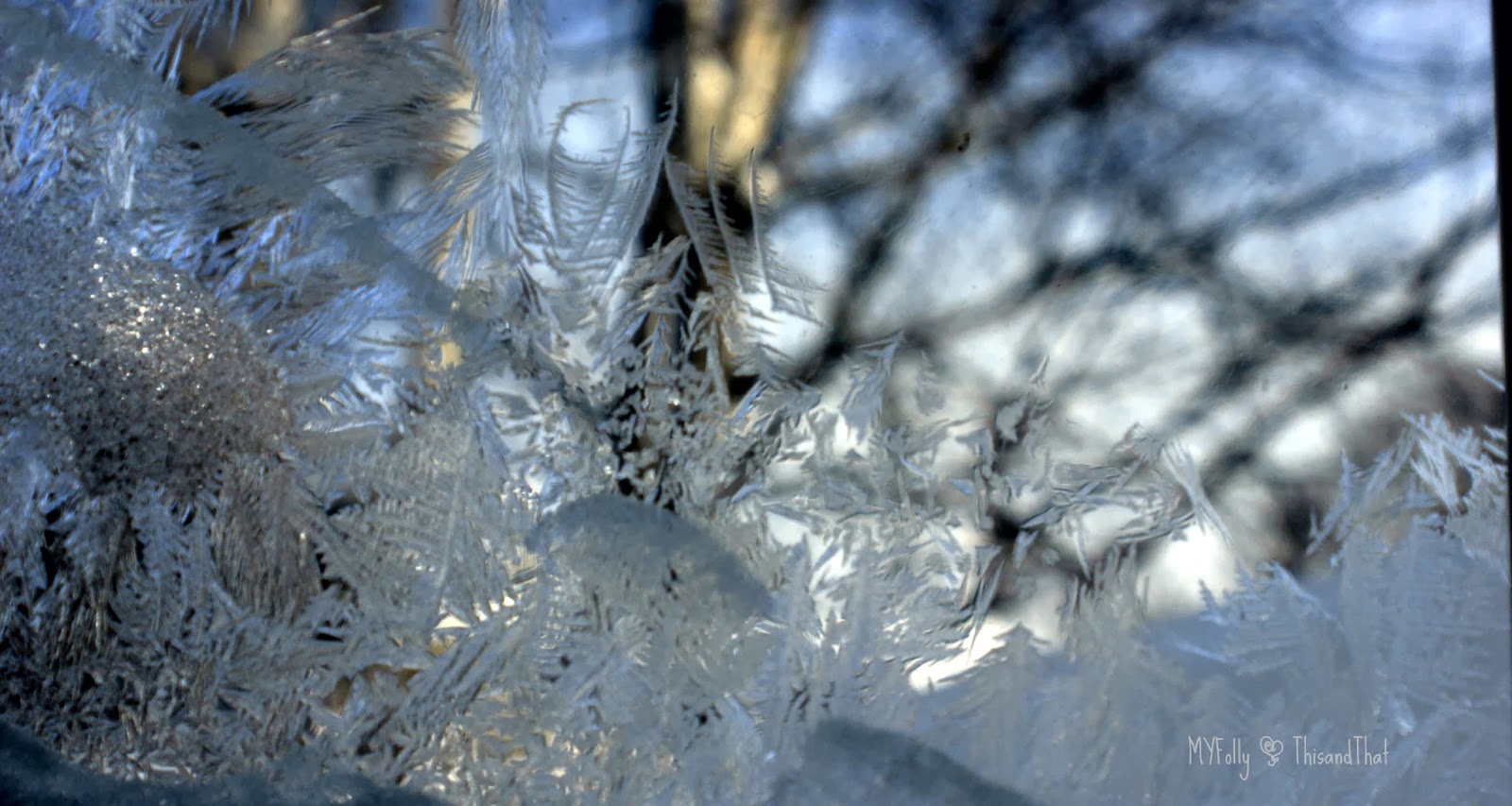 This and that: Frost on the Windows..