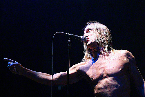 iggy pop by aleksey.const