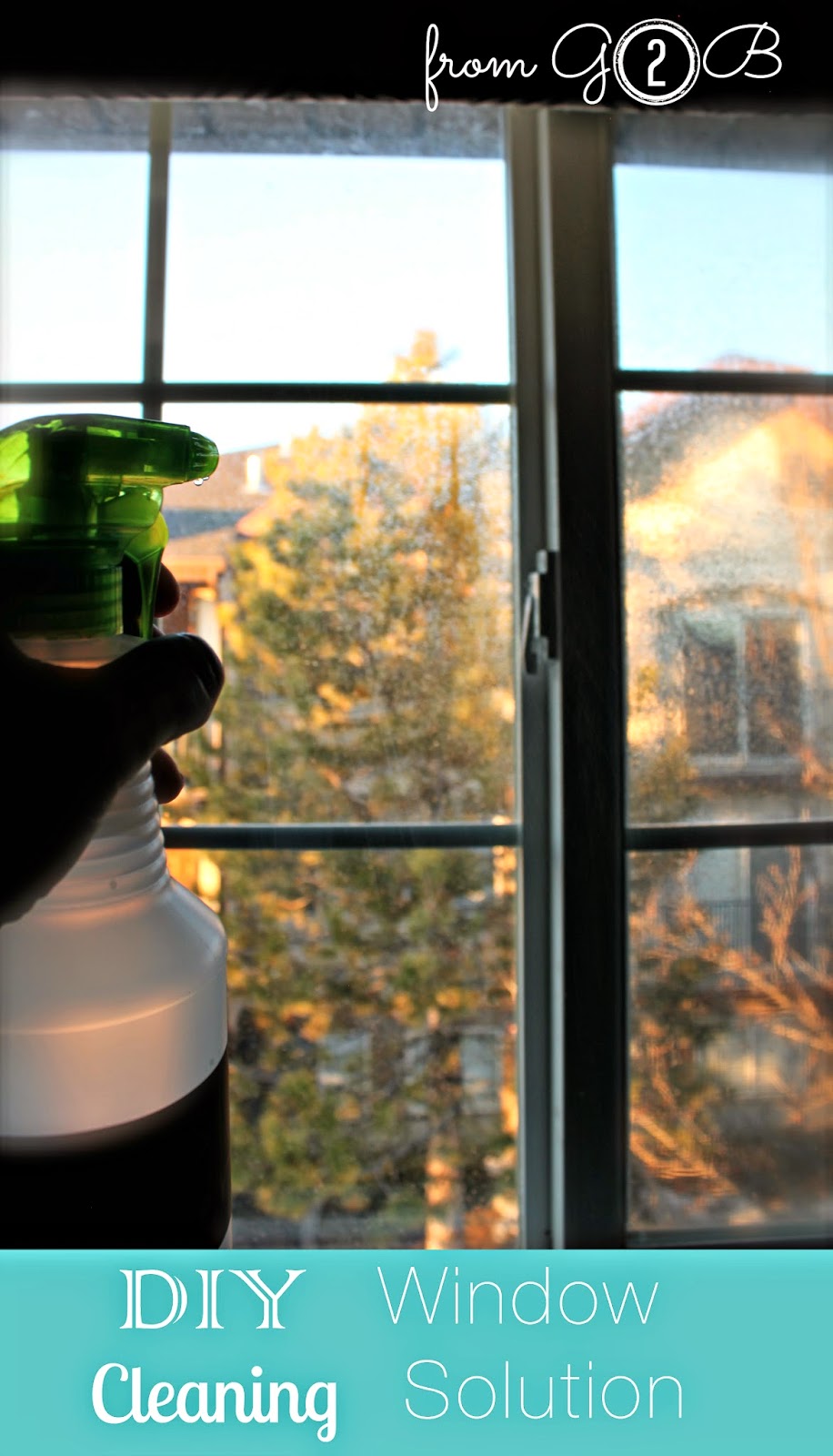 DIY-Window-Cleaning-Solution