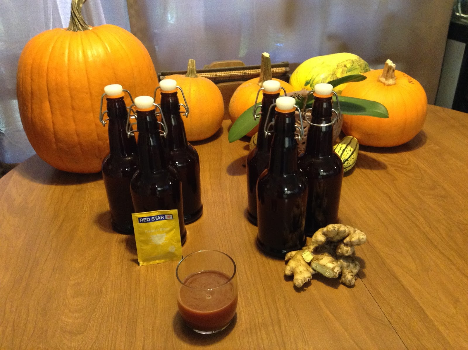 Nourishing Herbs DIY Fermented Root Beer A Beneficial Beverage to