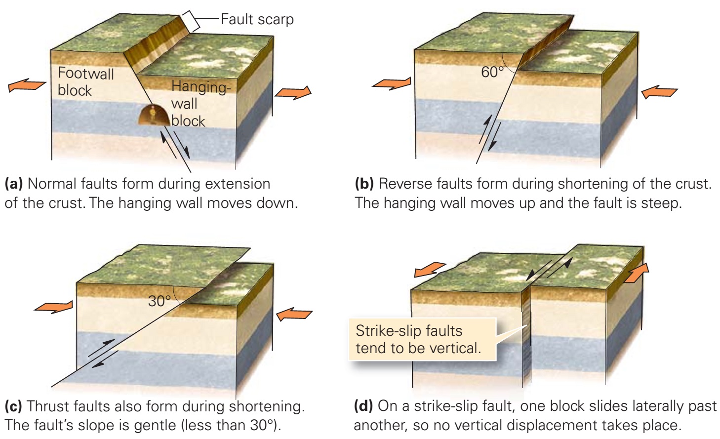 Types Of Faults Worksheet