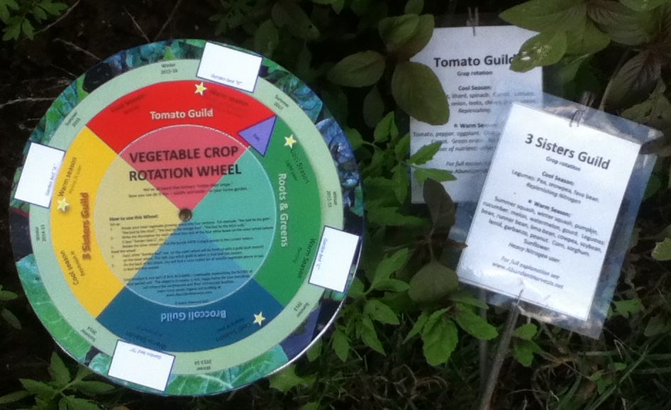 Abundant Harvests: Crop Rotation Wheel