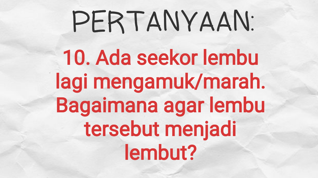 Pertanyaan Gombal Buat Pacar 70 Pertanyaan Gombalan Lucu