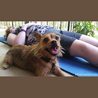Michelle Huntting's Doga Class Review