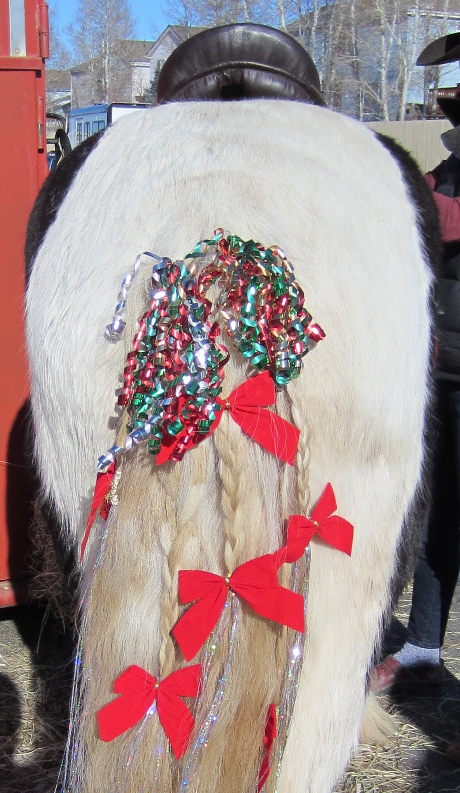 Moondance Ranch Christmas Parade