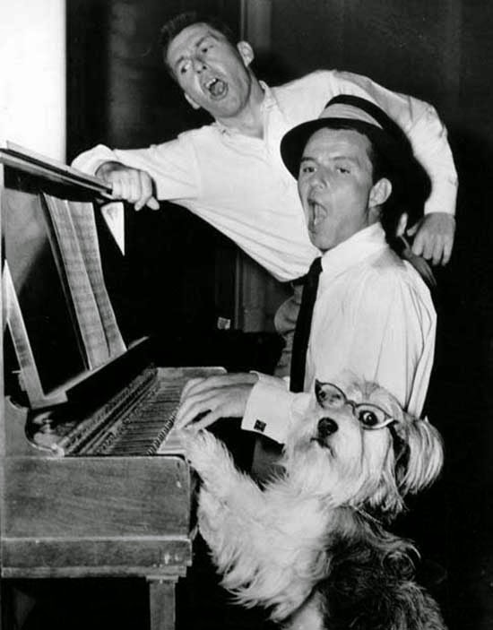David Wayne, Frank Sinatra y el perro co-protagonista de "El solterón y el amor" (1955)