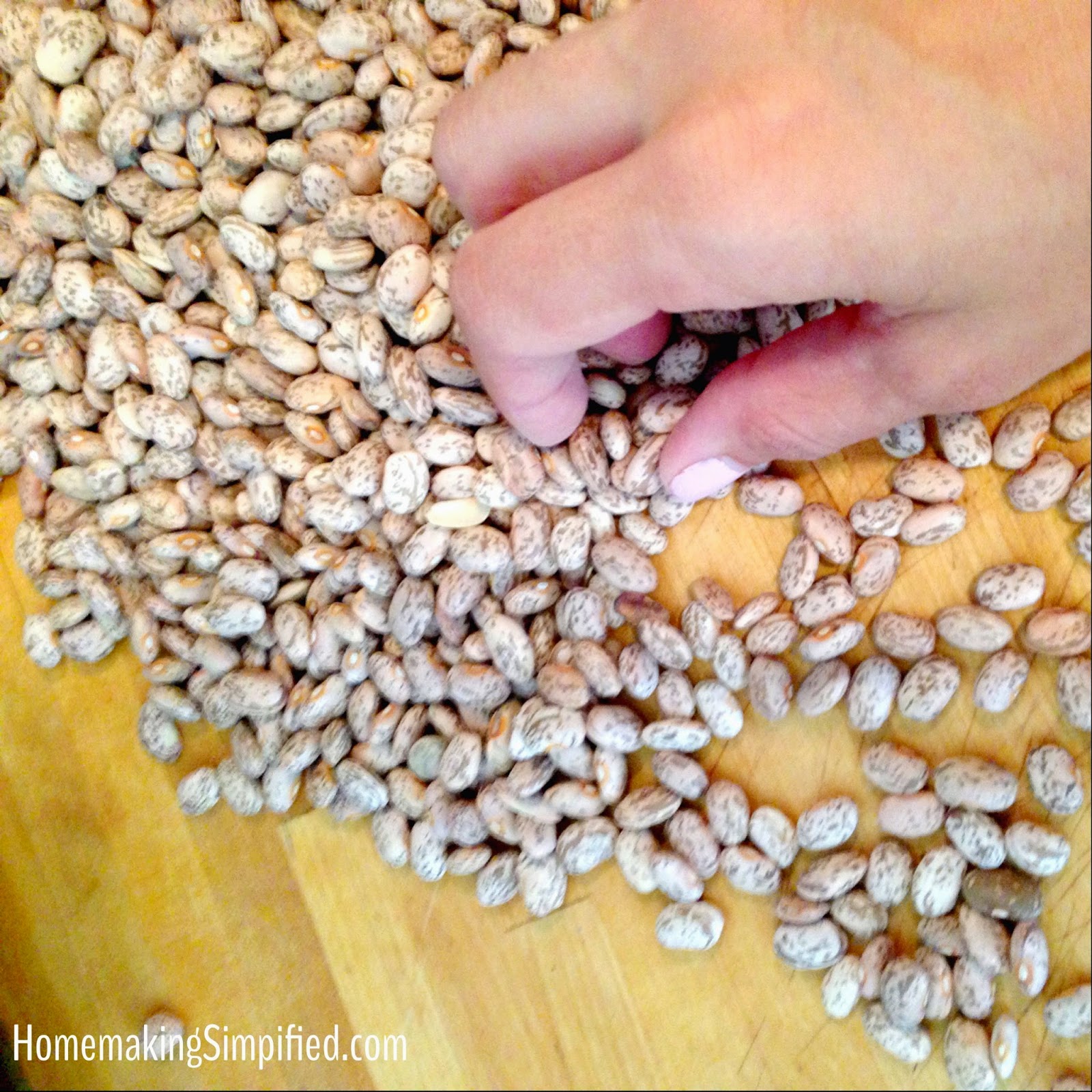 Homemaking Simplified How to Sort and Clean Dry Beans Pictorial