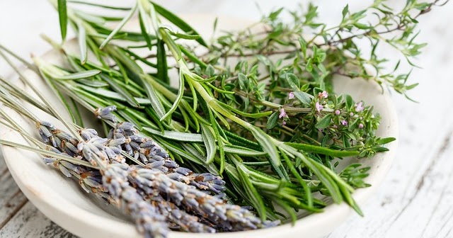 HOW TO USE HERBS FOR HEALTHY HAIR