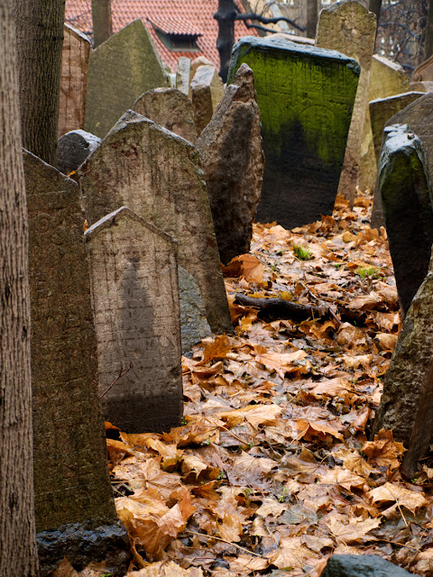 Caminos cubiertos de hojas de otoño en el cementerio judio de Praga