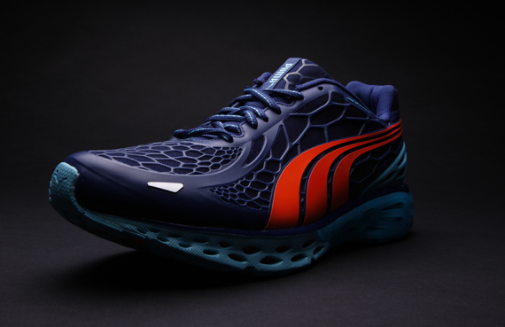 puma webtech