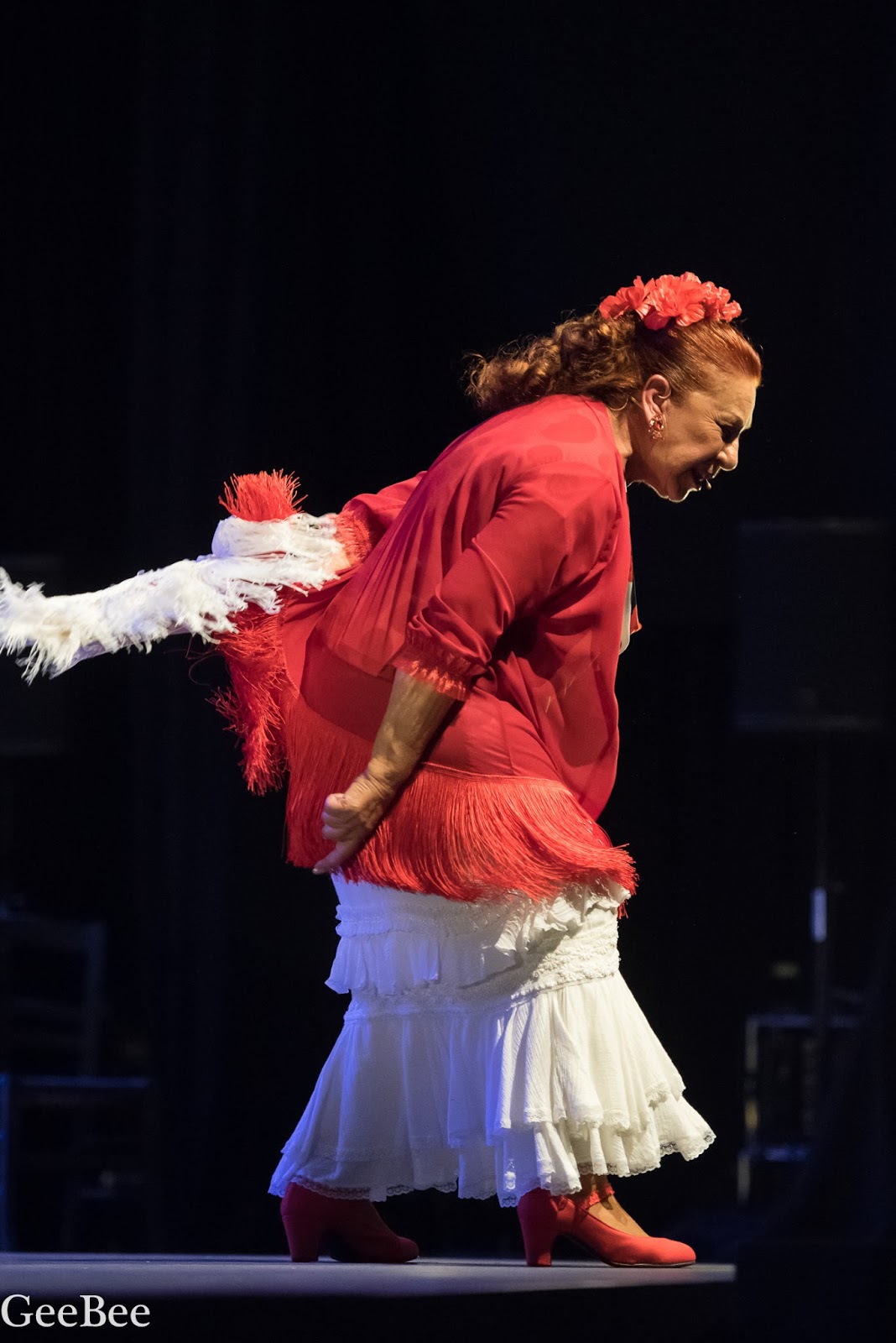 ARTE FLAMENCO Toda una Vida