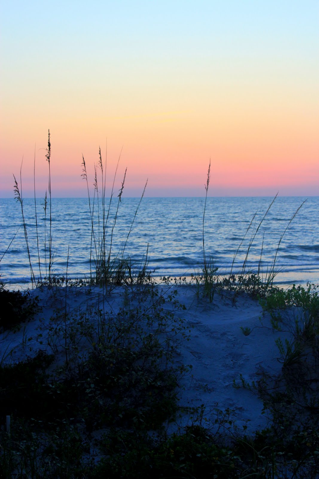 Here and There: Deseret Ranch and Indian Shores Beach!