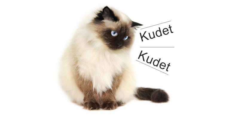 Kudet